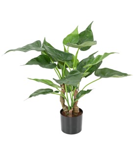 Alocasia artificiel cucullata