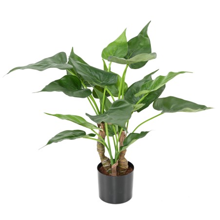 Alocasia artificiel cucullata