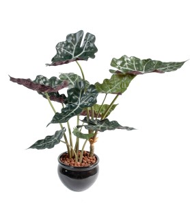 ALOCASIA 65 cm - Plante Verte Artificielle