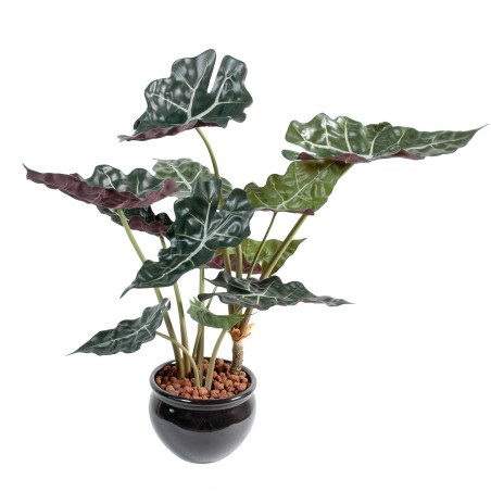 ALOCASIA 65 cm - Plante Verte Artificielle