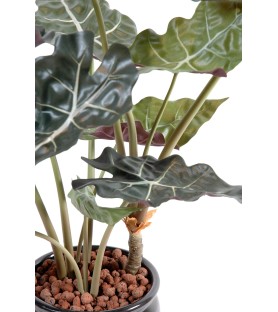 ALOCASIA 65 cm - Plante Verte Artificielle
