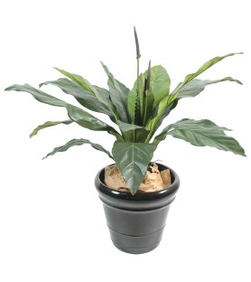 ANTHURIUM Jungle King 80 cm - Plante Verte Artificielle