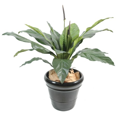 ANTHURIUM Jungle King 80 cm - Plante Verte Artificielle