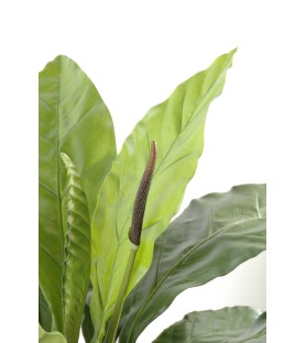 ANTHURIUM Jungle King 80 cm - Plante Verte Artificielle