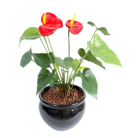 ANTHURIUM Fleuri 45 cm - Plante Verte Artificielle