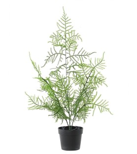 ASPARAGUS - Plante artificielle
