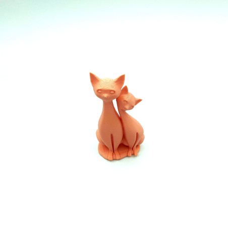 Couple de chat assis