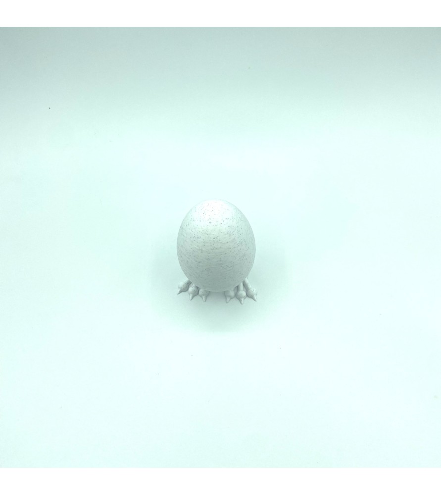 Oeuf sur patte