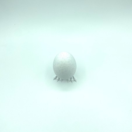 Oeuf sur patte