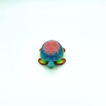 Tortue multicolore - S