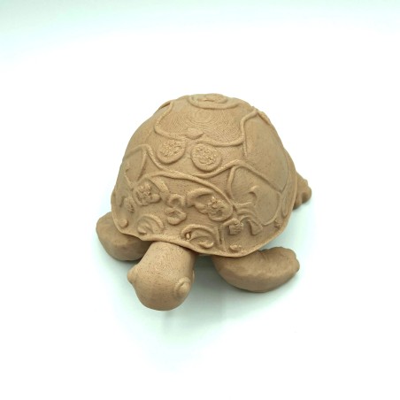 Tortue marron - M