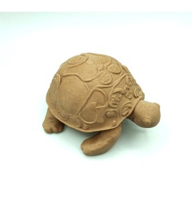 Tortue marron - M
