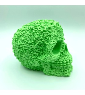 Skullgear