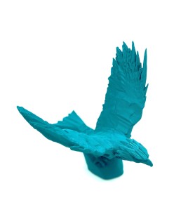 Aigle