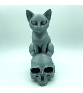 Chat sur crâne