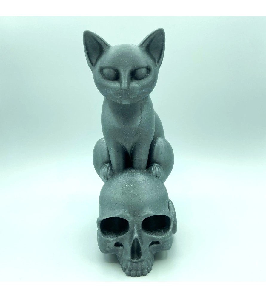 Chat sur crâne Chat sur crâne