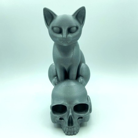 Chat sur crâne