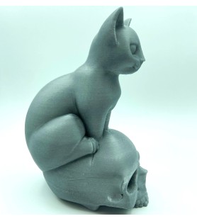 Chat sur crâne