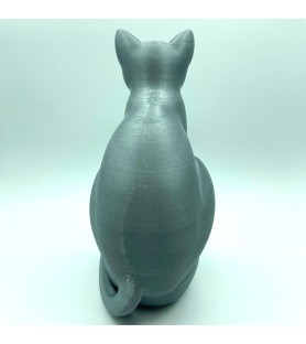 Chat sur crâne