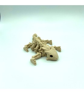 Squelette dino