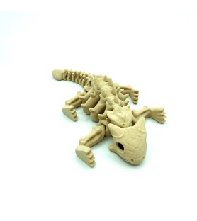 Squelette dino