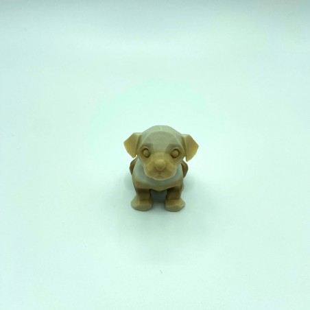 Bébé chien