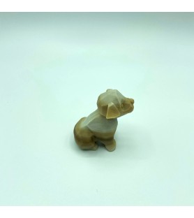 Bébé chien