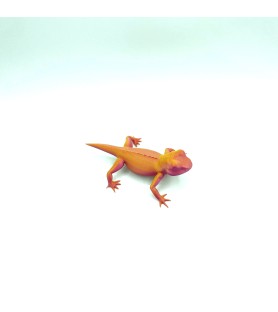 Lézard - Orange - M