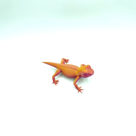 Lézard - Orange - M