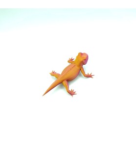 Lézard - Orange - M
