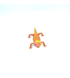 Lézard - Orange - M