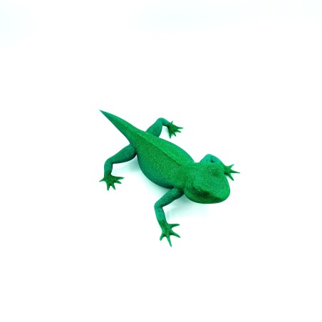 Lézard - Vert - M