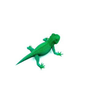 Lézard - Vert - M