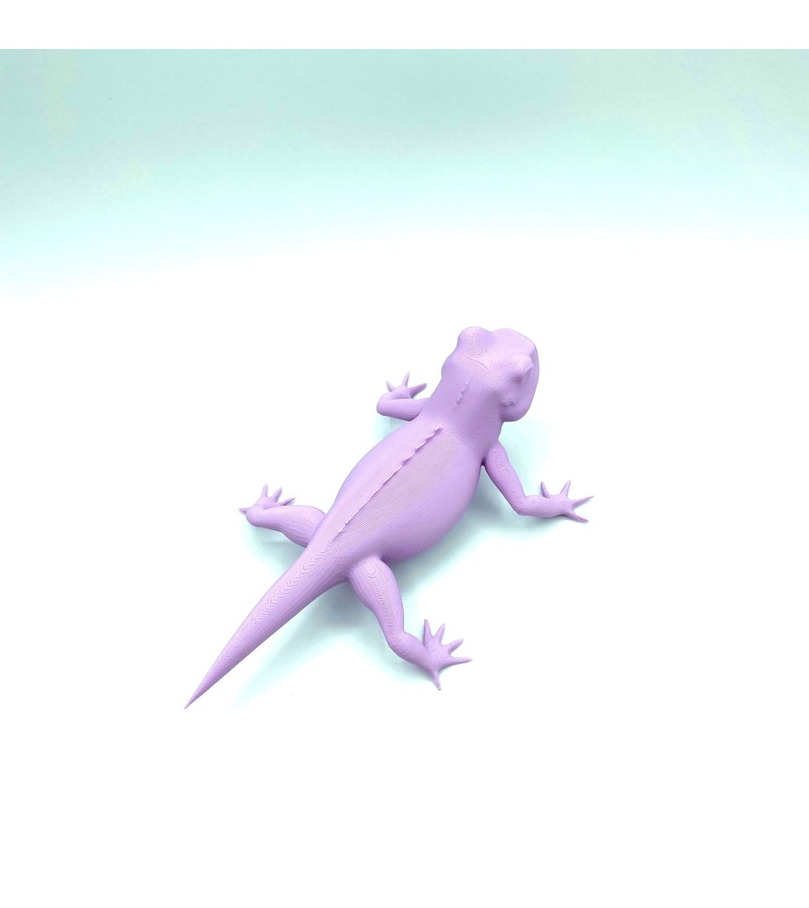Lézard - Violet - M Lézard - Violet - M