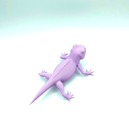 Lézard - Violet - M