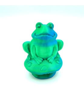 Grenouille sur champi - Vert et bleu