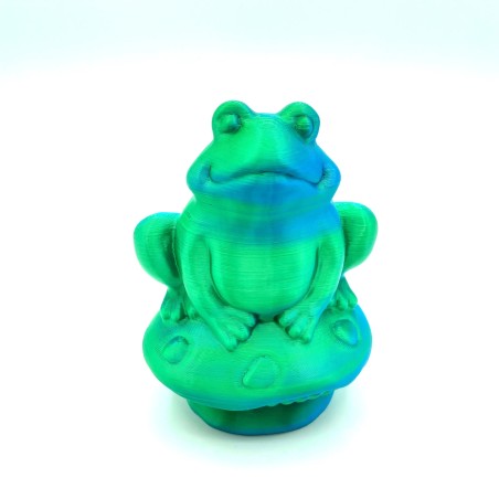 Grenouille sur champi - Vert et bleu