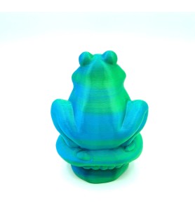 Grenouille sur champi - Vert et bleu