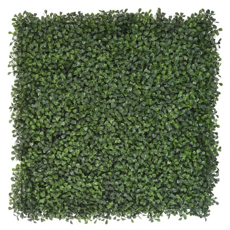 Plaque de BUIS - Vert - Mur végétal artificiel