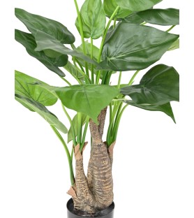 ALOCASIA CUCULLATA 80cm  - Plante verte Artificielle
