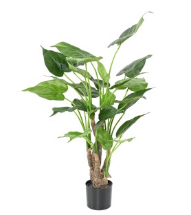 ALOCASIA CUCULLATA 80cm  - Plante verte Artificielle