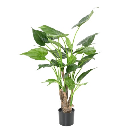 ALOCASIA CUCULLATA 80cm  - Plante verte Artificielle