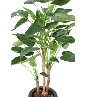ALOCASIA CUCULLATA 100cm  - Plante verte Artificielle