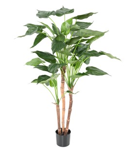 ALOCASIA CUCULLATA 100cm  - Plante verte Artificielle
