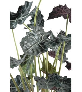 ALOCASIA 110 cm - Plante Verte Artificielle
