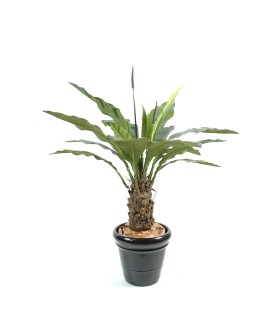 ANTHURIUM Jungle King 130 cm - Plante Verte Artificielle