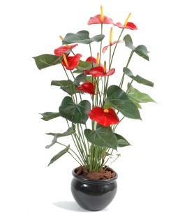 ANTHURIUM Fleuri 75 cm - Plante Verte Artificielle