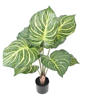APHELANDRA 70 cm - Plante artificielle