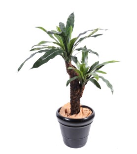 ASPLENIUM 120 cm - Plante artificielle