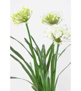 AGAPANTHE En Motte - Blanc - 90 cm - Plante artificielle